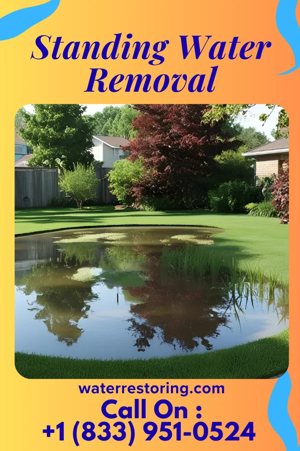 Standing Water Removal in Raeford, NC